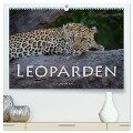 Leoparden - groß und klein (hochwertiger Premium Wandkalender 2025 DIN A2 quer), Kunstdruck in Hochglanz - Robert Styppa