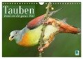 Tauben rund um die ganze Welt (Wandkalender 2024 DIN A4 quer), CALVENDO Monatskalender - Calvendo Calvendo