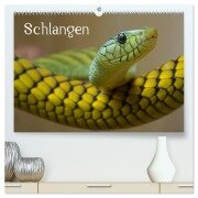 Cover-Bild zum Titel 'Schlangen (hochwertiger Premium Wandkalender 2026 DIN A2 quer), Kunstdruck in Hochglanz' von 'Elisabeth Stanzer'