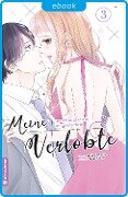 Cover-Bild zum Titel 'Meine manchmal etwas anstrengende Verlobte 03' von 'Monaka Toyama, Midori Shiino'