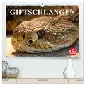 Giftschlangen (hochwertiger Premium Wandkalender 2025 DIN A2 quer), Kunstdruck in Hochglanz - Elisabeth Stanzer