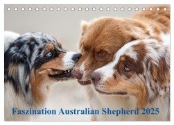 Australian Shepherd 2025 (Tischkalender 2025 DIN A5 quer), CALVENDO Monatskalender - Annett Mirsberger