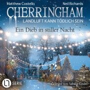 Ein Dieb in stiller Nacht - Matthew Costello, Neil Richards