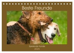 Beste Freunde - Spielende Hunde (Tischkalender 2025 DIN A5 quer), CALVENDO Monatskalender - Meike Bölts