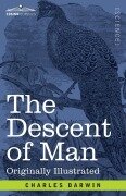 Cover-Bild zum Titel 'The Descent of Man' von 'Charles Darwin'