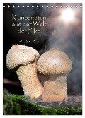 Kuriositäten aus der Welt der Pilze (Tischkalender 2024 DIN A5 hoch), CALVENDO Monatskalender - Heinz Schmidbauer