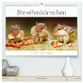 Streifenhörnchen - neugierige Nager (hochwertiger Premium Wandkalender 2024 DIN A2 quer), Kunstdruck in Hochglanz - Stefan Mosert