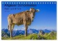 Allgäuer Schönheiten Allgäu - Land der Kühe (Tischkalender 2024 DIN A5 quer), CALVENDO Monatskalender - Walter G. Allgöwer