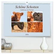 Schöne Schotten - Galloway im Porträt (hochwertiger Premium Wandkalender 2026 DIN A2 quer), Kunstdruck in Hochglanz - Meike Bölts