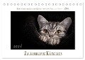 Zauberhafte Kätzchen (Tischkalender 2024 DIN A5 quer), CALVENDO Monatskalender - Martina Wrede