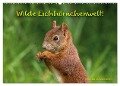 Wilde Eichhörnchenwelt! (Wandkalender 2025 DIN A2 quer), CALVENDO Monatskalender - Birte Alber und Carsten Cording