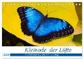 Kleinode der Lüfte - Faszinierende tropische Schmetterlinge (Tischkalender 2024 DIN A5 quer), CALVENDO Monatskalender - Armin Maywald