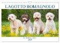 Lagotto Romagnolo - Der Trüffelhund aus Italien (Wandkalender 2025 DIN A4 quer), CALVENDO Monatskalender - Sigrid Starick