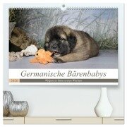 Germanische Bärenbabys (hochwertiger Premium Wandkalender 2026 DIN A2 quer), Kunstdruck in Hochglanz - Sonja Teßen