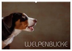 Welpenblicke (Wandkalender 2025 DIN A2 quer), CALVENDO Monatskalender - Jana Behr