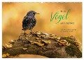 Bunte Vögel am Futterplatz (Wandkalender 2024 DIN A2 quer), CALVENDO Monatskalender - Thomas Herzog