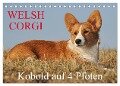 Welsh Corgi - Kobold auf 4 Pfoten (Tischkalender 2025 DIN A5 quer), CALVENDO Monatskalender - Sigrid Starick