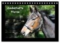 Zauberhafte Pferde (Tischkalender 2024 DIN A5 quer), CALVENDO Monatskalender - Christine Daus