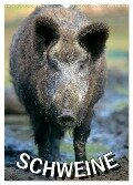 Schweine 2024 (Wandkalender 2024 DIN A3 hoch), CALVENDO Monatskalender - 
