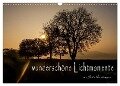 wunderschöne Lichtmomente (Wandkalender 2024 DIN A3 quer), CALVENDO Monatskalender - Julia Vornberger