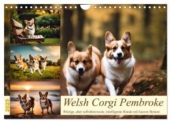 Welsh Corgi Pembroke (Wandkalender 2025 DIN A4 quer), CALVENDO Monatskalender - Claudia Kleemann