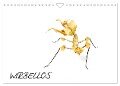 WIRBELLOS (Wandkalender 2024 DIN A4 quer), CALVENDO Monatskalender - Benny Trapp