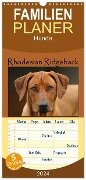 Familienplaner 2024 - Rhodesian Ridgeback Terminkalender mit 5 Spalten (Wandkalender, 21 x 45 cm) CALVENDO - Anke van Wyk - www. germanpix. net