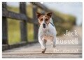 Jack Russell - Klein, aber oho! (Wandkalender 2024 DIN A3 quer), CALVENDO Monatskalender - Annett Mirsberger Tierpfoto. De