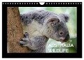 Australia Wildlife (Wandkalender 2024 DIN A4 quer), CALVENDO Monatskalender - Luxscriptura By Wolfgang Schömig