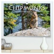 Chipmunks Streifenhörnchen (hochwertiger Premium Wandkalender 2025 DIN A2 quer), Kunstdruck in Hochglanz - Robert Styppa
