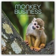 Cover-Bild zum Titel 'Monkey Business 2026 - 16-Monatskalender' von 'The Gifted'
