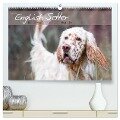English Setter ¿ Impressionen edler Hunde (hochwertiger Premium Wandkalender 2025 DIN A2 quer), Kunstdruck in Hochglanz - Visovio Visovio