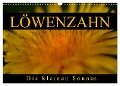 Löwenzahn - Die kleinen Sonnen (Wandkalender 2024 DIN A3 quer), CALVENDO Monatskalender - Cathrin Kaden