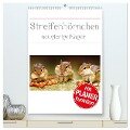 Streifenhörnchen - neugierige Nager (hochwertiger Premium Wandkalender 2024 DIN A2 hoch), Kunstdruck in Hochglanz - Stefan Mosert