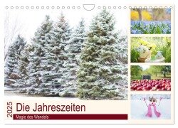 Die Jahreszeiten. Magie des Wandels (Wandkalender 2025 DIN A4 quer), CALVENDO Monatskalender - Elisabeth Stanzer