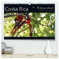 Costa Rica Blickwinkel 2024 (hochwertiger Premium Wandkalender 2024 DIN A2 quer), Kunstdruck in Hochglanz - The Flying Bushhawks