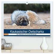 Kaukasischer Owtscharka (hochwertiger Premium Wandkalender 2026 DIN A2 quer), Kunstdruck in Hochglanz - Annett Mirsberger