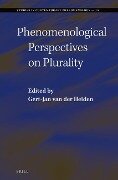Phenomenological Perspectives on Plurality - 
