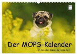 Der MOPS-Kalender (Wandkalender 2025 DIN A3 quer), CALVENDO Monatskalender - Kathrin Köntopp
