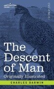 Cover-Bild zum Titel 'The Descent of Man' von 'Charles Darwin'