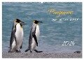 Pinguine aus aller Welt (Wandkalender 2024 DIN A2 quer), CALVENDO Monatskalender - Brigitte Schlögl
