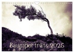 Baumporträts 2025 (Wandkalender 2025 DIN A4 quer), CALVENDO Monatskalender - Katja Jentschura
