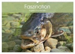 Faszination Angeln und Fischen (Wandkalender 2025 DIN A2 quer), CALVENDO Monatskalender - Elisabeth Stanzer