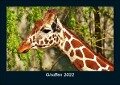 Giraffen 2022 Fotokalender DIN A5 - Tobias Becker