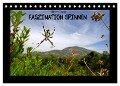 Faszination Spinnen (Tischkalender 2024 DIN A5 quer), CALVENDO Monatskalender - Benny Trapp