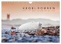 Kegelrobben - Die Kegelrobben von Helgoland (Wandkalender 2024 DIN A4 quer), CALVENDO Monatskalender - Lain Jackson