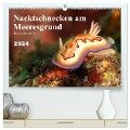 Nacktschnecken am Meeresgrund (hochwertiger Premium Wandkalender 2024 DIN A2 quer), Kunstdruck in Hochglanz - Bianca Schumann