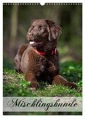 Mischlingshunde (Wandkalender 2024 DIN A3 hoch), CALVENDO Monatskalender - Nicole Noack