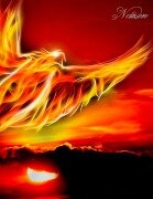 Cover-Bild zum Titel 'Fantasy Notizbuch: Phoenix - weiße Seiten mit Eckmotiv' von 'Samuriel Sternenfeuer'