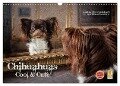 Chihuahuas - Cool and Cute (Wandkalender 2024 DIN A3 quer), CALVENDO Monatskalender - Oliver Pinkoss Photostorys
